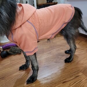 Blueberry Cozy Small Dog Hoodie With Leash Hole 16 Inch Back
